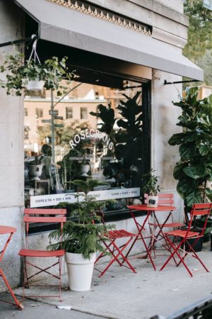 cozy street cafeteria with minimalist furniture and green plants in sunlight